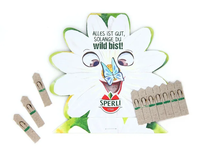 10 Saatgut-Sticks zur einfachen Anzucht Blume [MHD 01/2026]