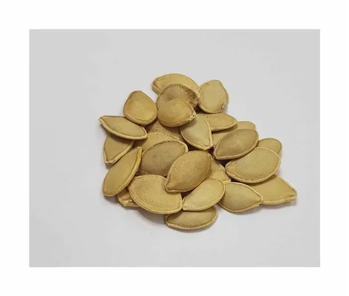 10x Squash Early Summer Crookneck Kürbis Gemüse Pflanzen – Samen KS594