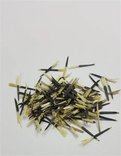 165x Samtblume Bonita Mix Tagetes Saatgut Garten Pflanzen – Samen K240
