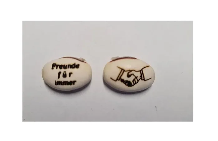 1x Magische Zauber Bohne Gravur Freunde für immer Erklärung Geschenk Samen A231