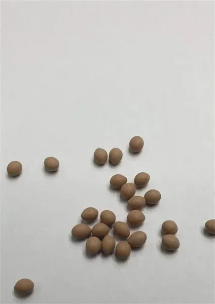 20x Dicke F1 Jupiter Karotten Riesen Möhren Gemüse Samen A130