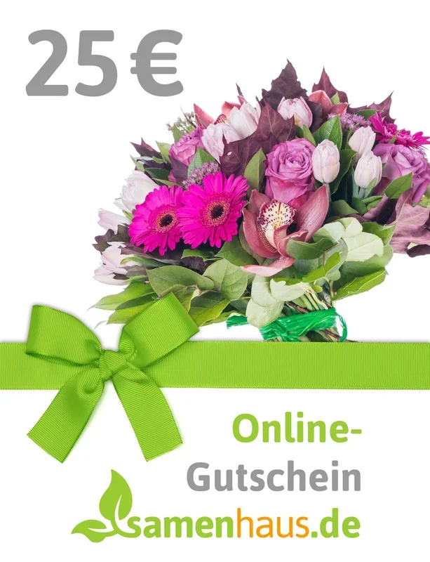 25,- € Online-Geschenkgutschein