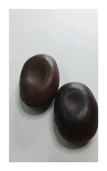 2x Mucuna macrocarpa Saba ling Rusty Leaf Kletterstrauch Samen A366