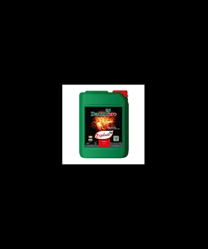 -30% DUTCHPRO EXPLODE 5L WYPRZEDAŻ -30%