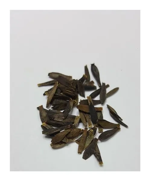30x Mignondahlie – Dahlia variabilis Blumen Garten Pflanzen – Samen KS25