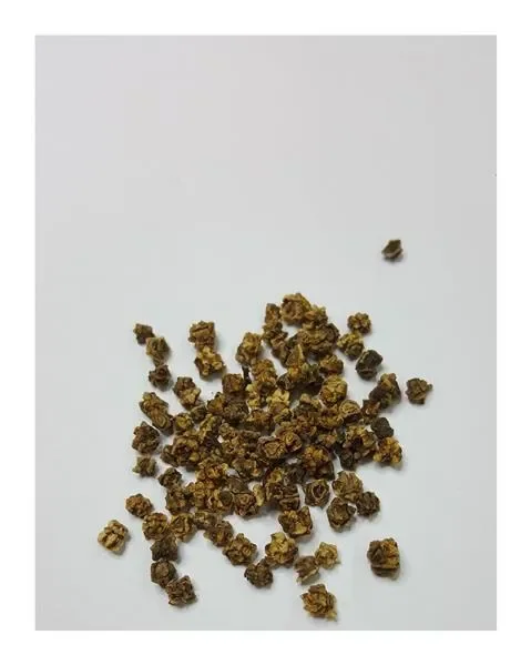 30x Rote Rübe Bull’s Blood Beta vulgaris Gemüse Garten Pflanzen – Samen KS18