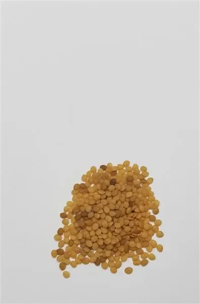 35x Ananaskirsch SunFruit – Samen Beere Physalis pruinosa Obst KS446