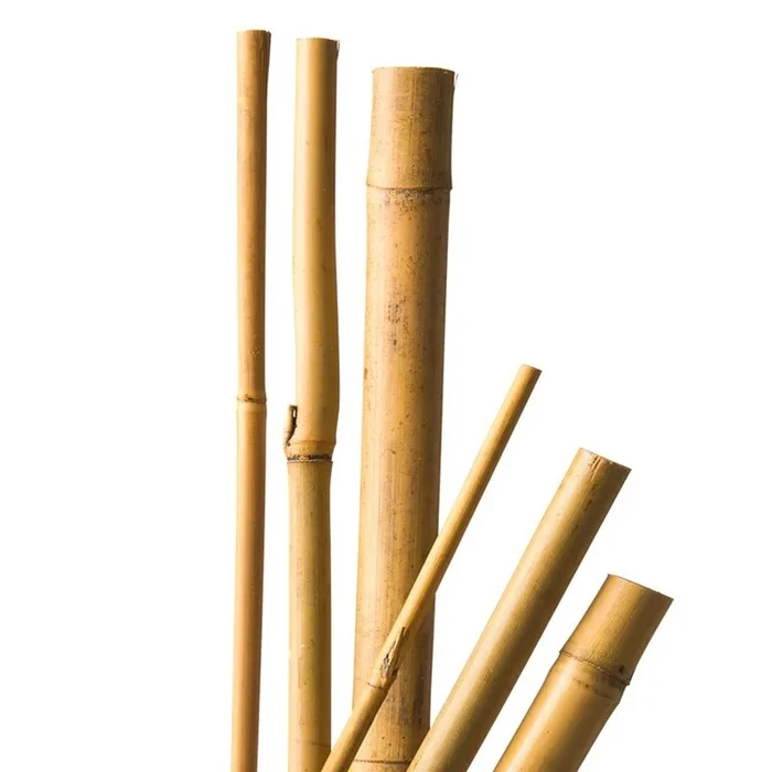 4 Bambusstäbe Natur – H150 Cm Ø12-14 Mm