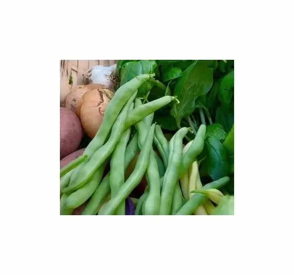 50 g Stangenbohnen Markant Garten Pflanzen – Samen F-S82