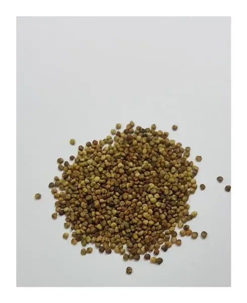 50x Feldsalat Favor Salat Gemüse Garten Pflanzen – Samen KS199