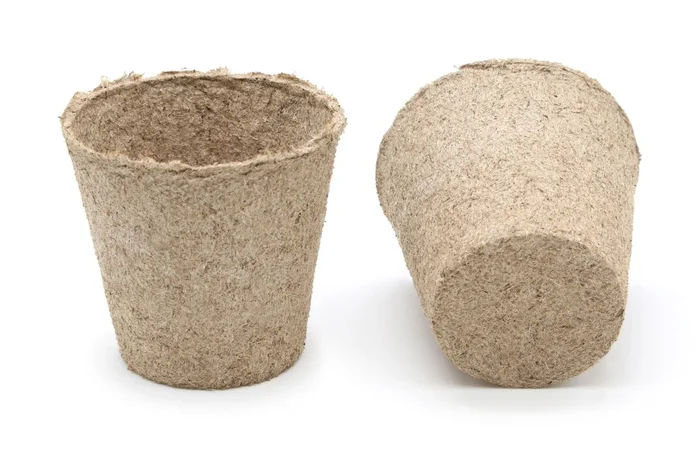 6 cm Anzuchttopf rund (3000 Stück)