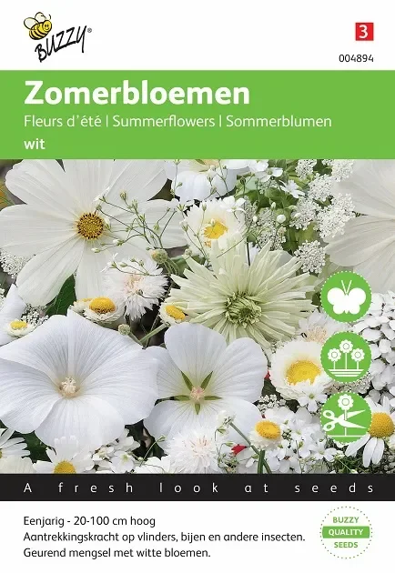 AA Sommerblumen Weiss