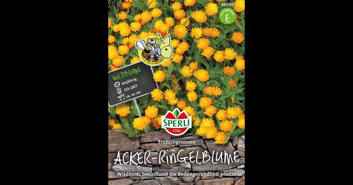 Acker-Ringelblume ‚Frühlingssonne‘