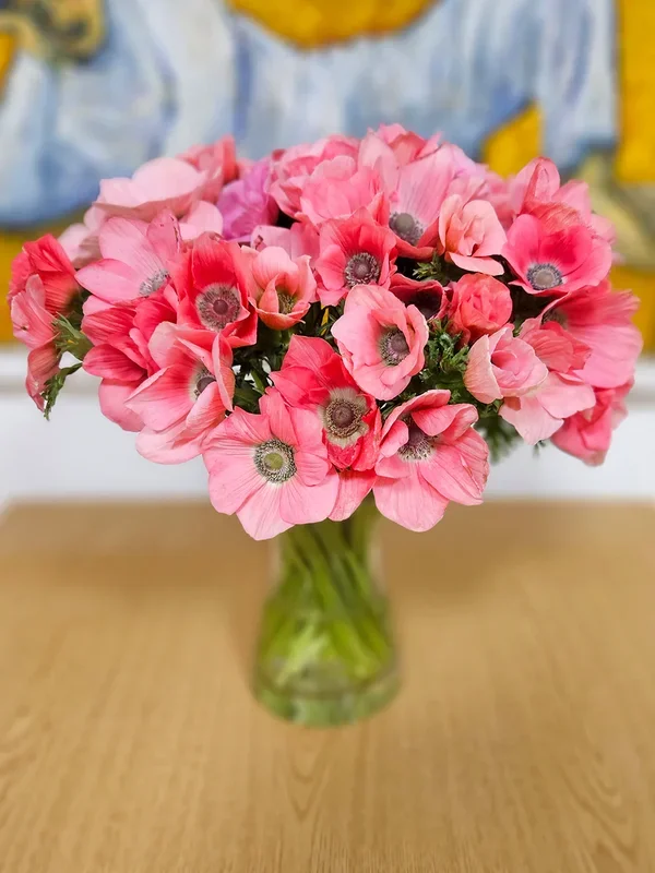 Anemone Barbie