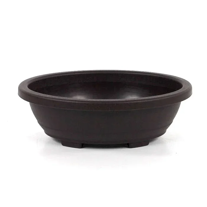 Anzucht-Bonsaischale oval 24.3×19.3×7.9 cm