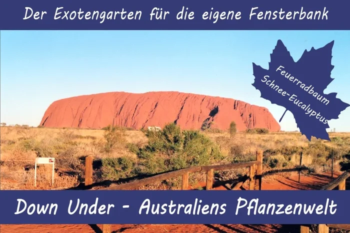 Anzuchtset Australiens Pflanzenwelt
