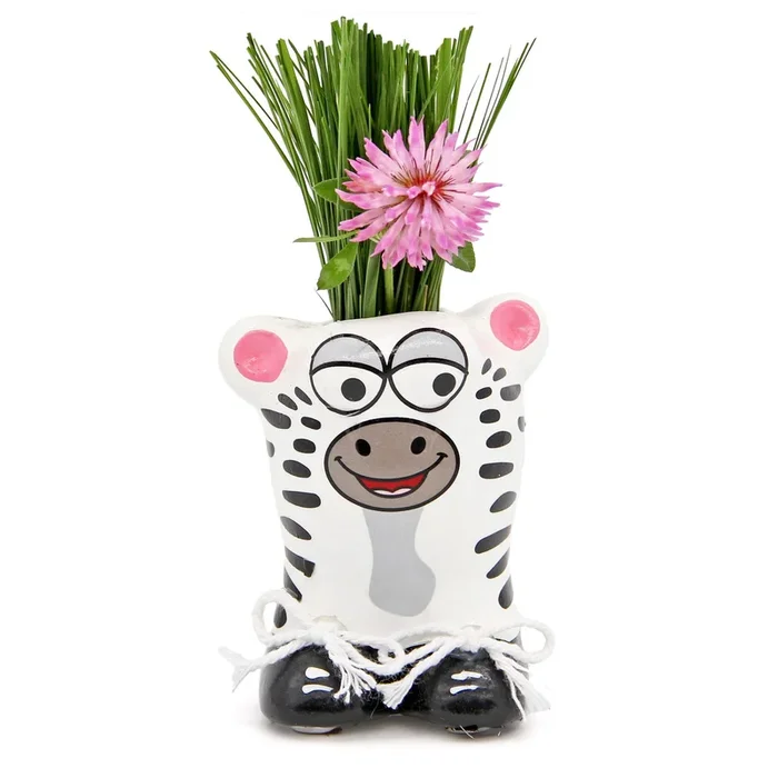 Anzuchtset Munakuppi Zebra