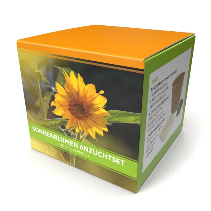 Anzuchtset Sonnenblumen (Gelb)