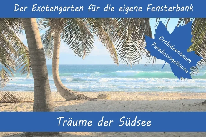 Anzuchtset Träume der Südsee