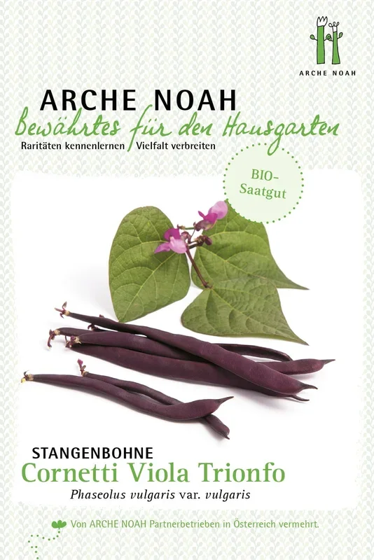 Arche Noah Bio Stangenbohne „Cornetti Viola Trionfo“
