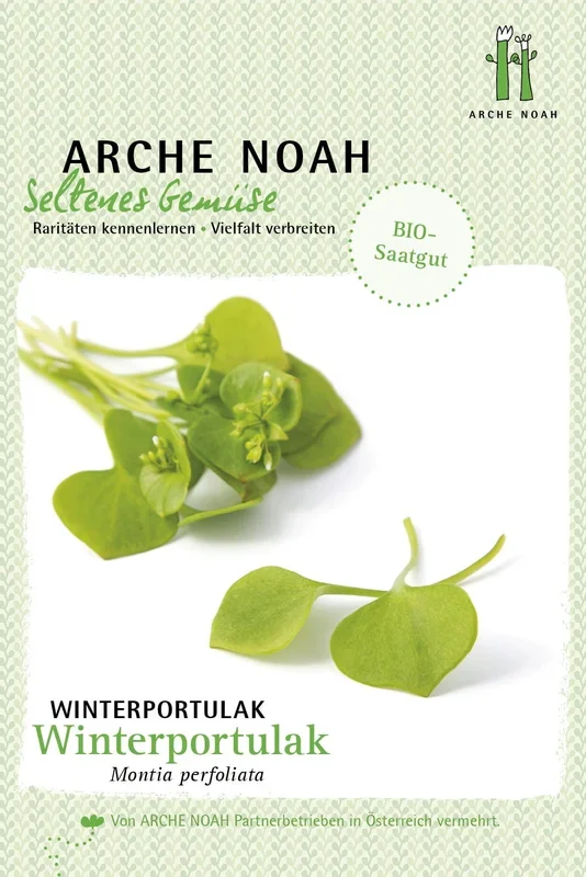 Arche Noah Bio Winterpostelein/Portulak