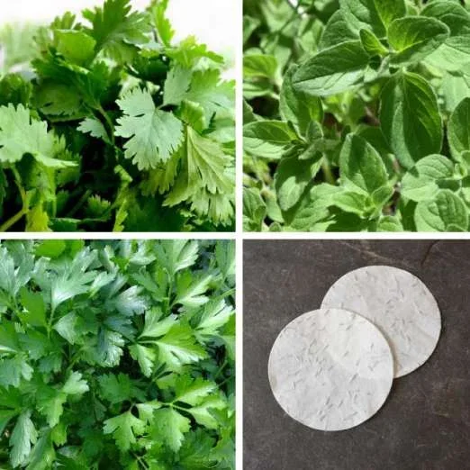 Aroma-MixKoriander, Oregano, PetersilieSaatscheiben