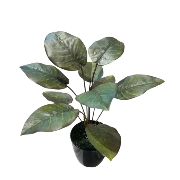 Artificial Philo in Pot (0.50mH)