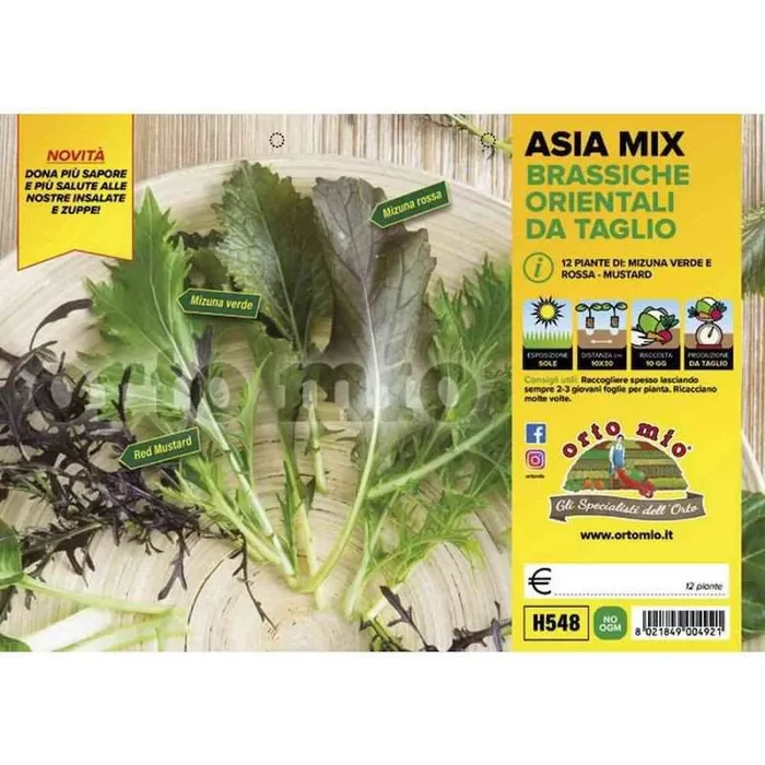 Asia Mix Brassiche Orientalische Sämlinge