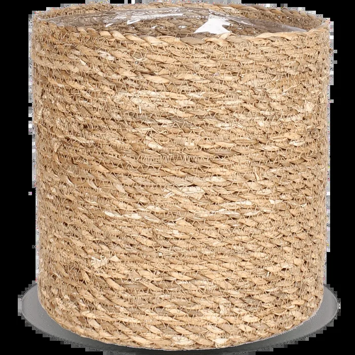 Atlantic (20 cm)