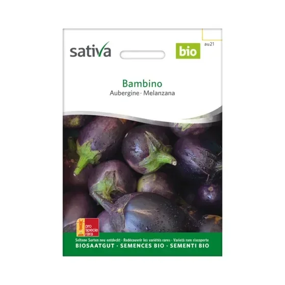 Aubergine Bambino Biosamen au21