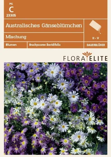 Australisches Gänseblümchen Mischung