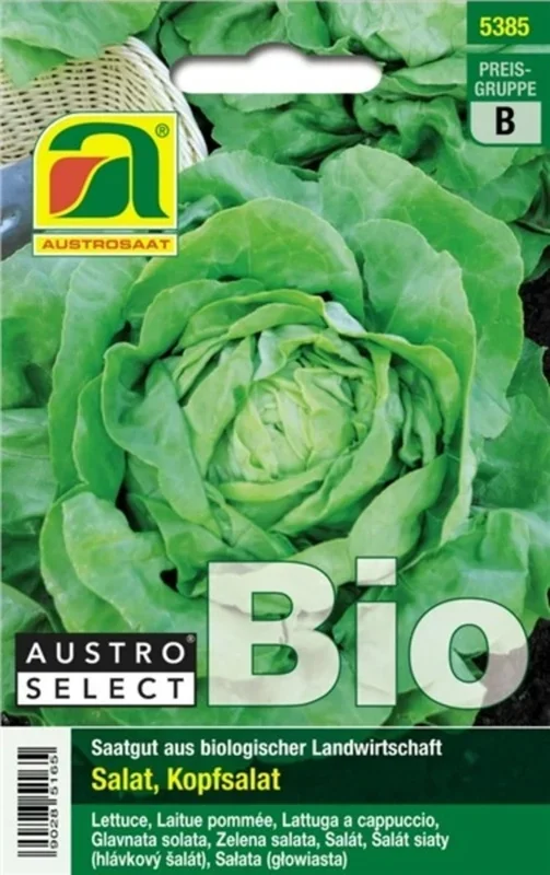 AUSTROSAAT Bio Kopfsalat „Admiral“
