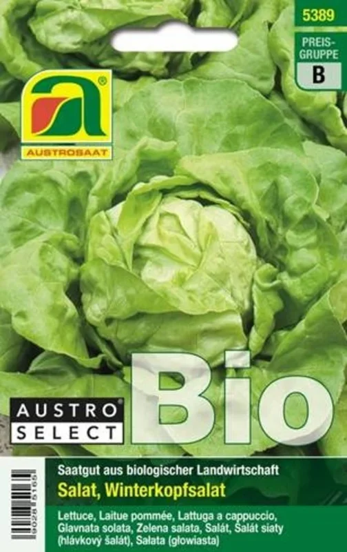 AUSTROSAAT Bio Kopfsalat „Neusiedler Gelber Winter“