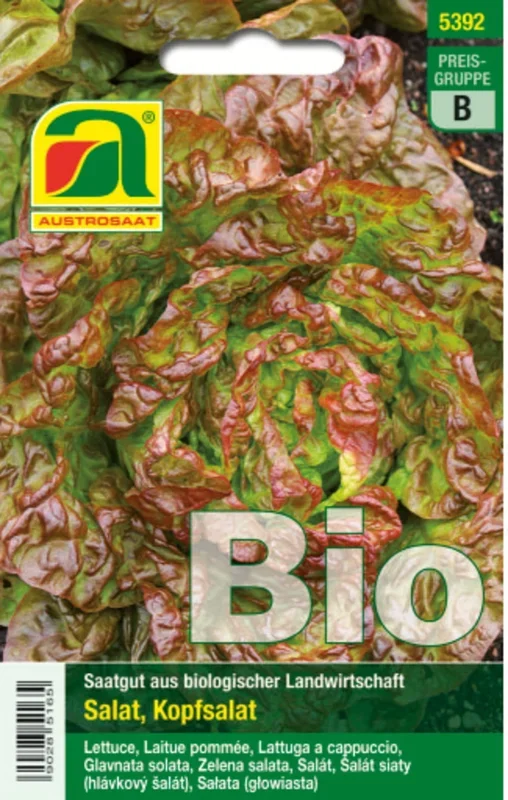 AUSTROSAAT Bio Kopfsalat Merveille des quatre saisons