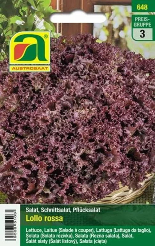 AUSTROSAAT Bio Schnittsalat Lollo Rossa