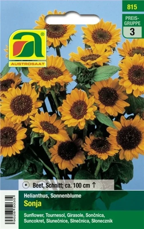 AUSTROSAAT Helianthus „Sonja“ Mischung