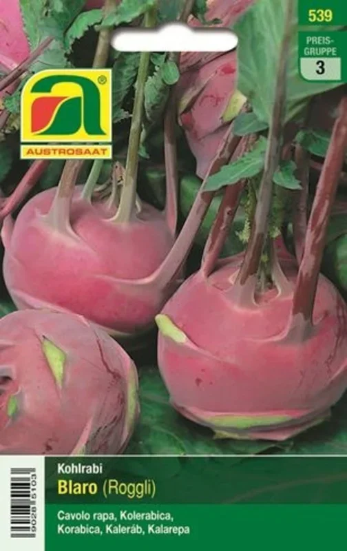 AUSTROSAAT Kohlrabi „Delikatess Blauer“