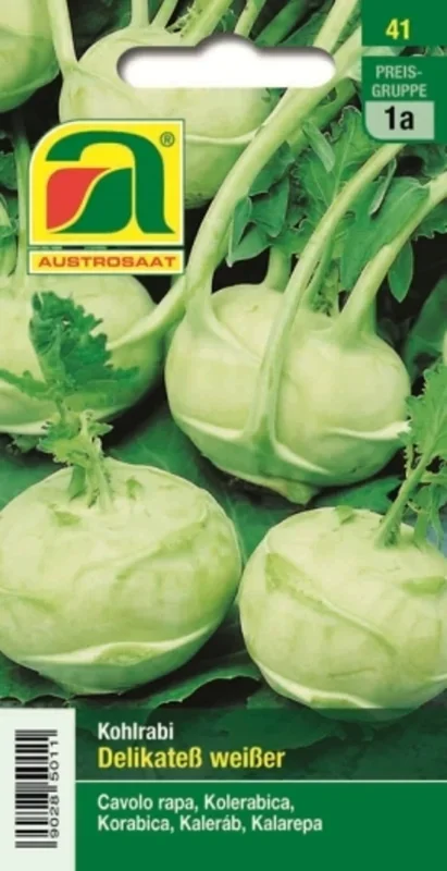 AUSTROSAAT Kohlrabi „Delikatess Weißer“