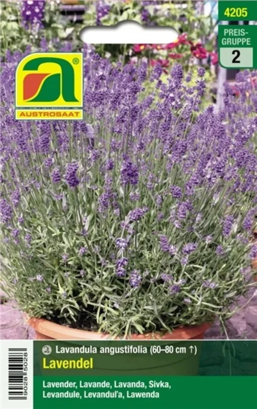 AUSTROSAAT Lavendel „Echter Lavendel“