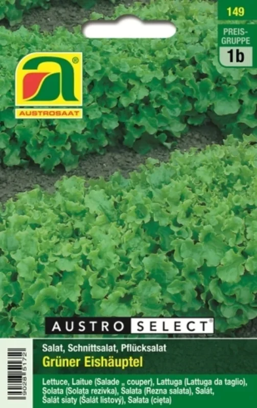 AUSTROSAAT Schnittsalat Grüner Eishäuptel