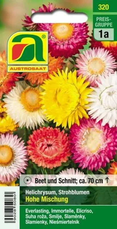AUSTROSAAT Strohblumen Hohe Mischung