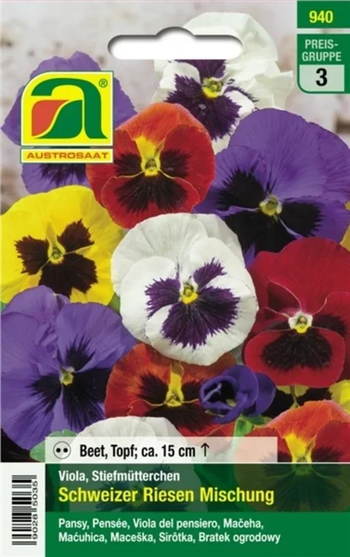 AUSTROSAAT Viola „Schweizer Riesen“ Mischung