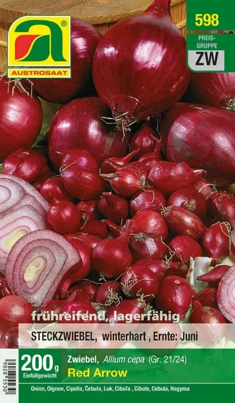 AUSTROSAAT Wintersteckzwiebeln „Red Arrow“, 200 g