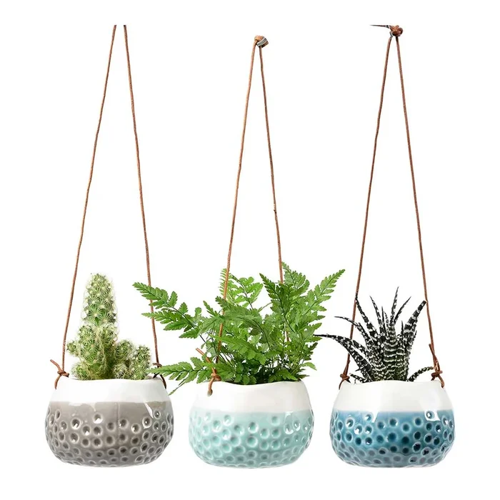 Baby Dotty Hanging Indoor Pot Trio