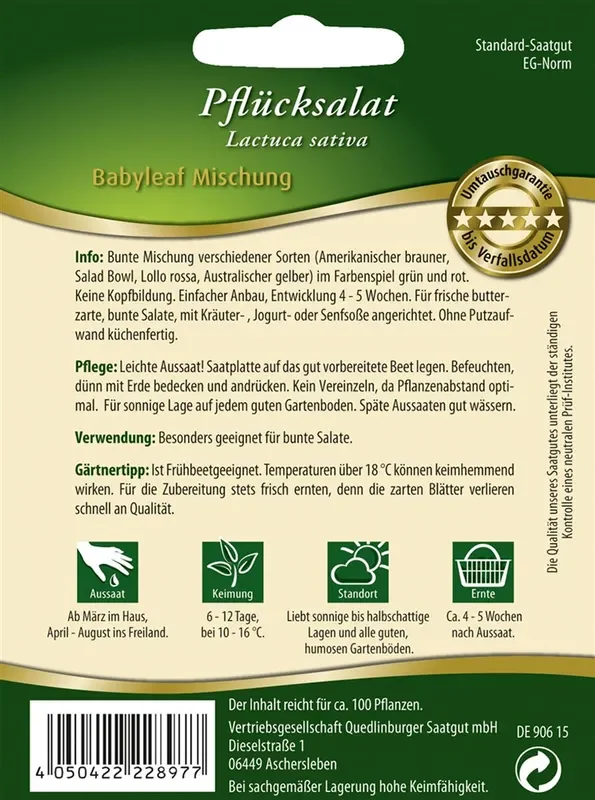 Babyleaf-Salat-Samen