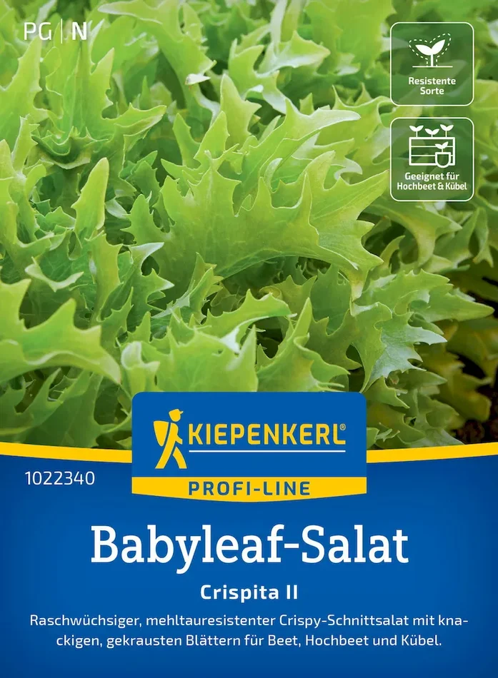 Babyleaf-Salatsamen Crispita II