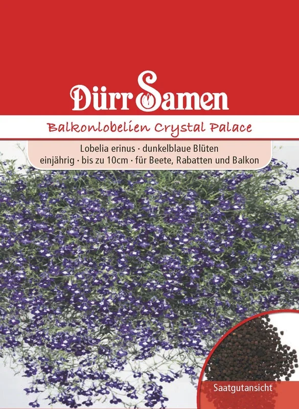 Balkonlobelien Crystal Palace [MHD 12/2024]
