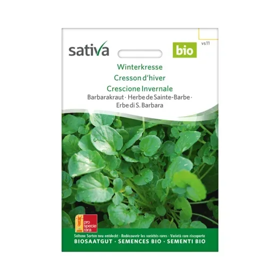 Barbarakraut Winterkresse Biosamen vs11
