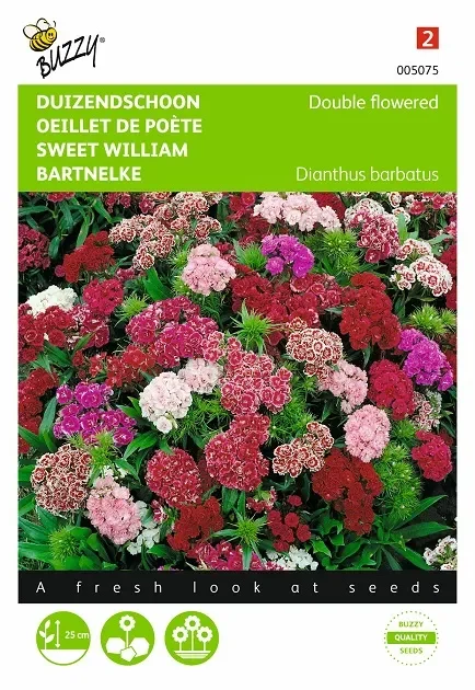 Bartnelkensamen ‚Niedrige‘