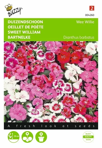 Bartnelkensamen ‚Wee Willie Gemischt‘